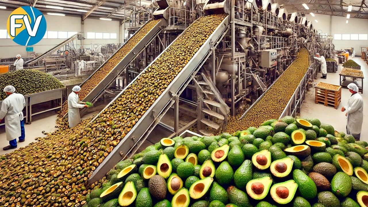 Cómo millones de toneladas de huesos de aguacate se convierten en bioplástico ecológico en 240 días