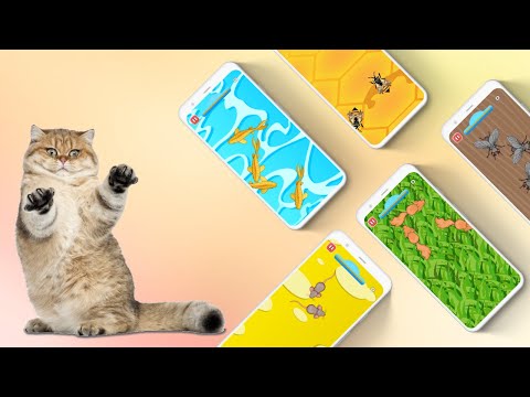Games for Cat－Toy Mouse & Fish
