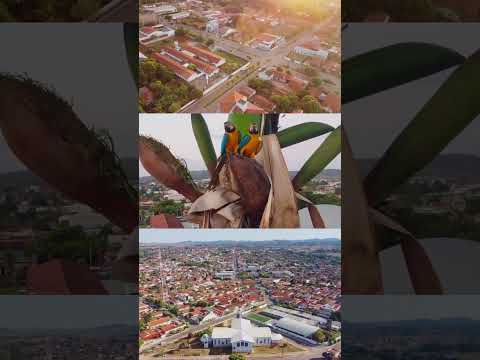 RUBIATABA -GOIAS #cidadesbrasileiras #goiás #brasil