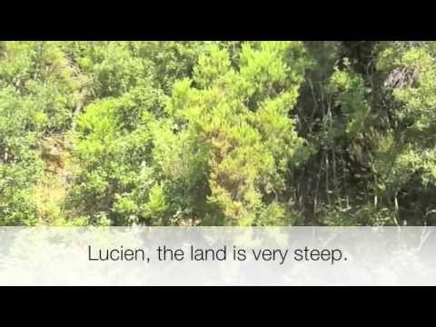 Trip in Corsica, discovering briar for pipemaking