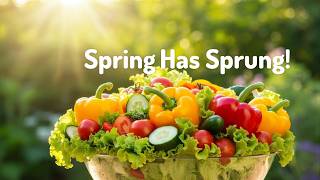 Plant Bell Peppers NOW! Spring is HERE!