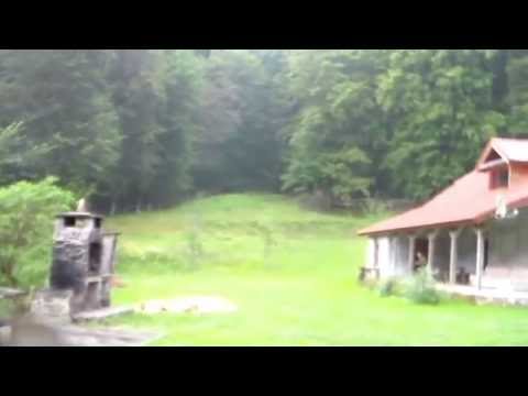 Com BRAZII   Mădrigești