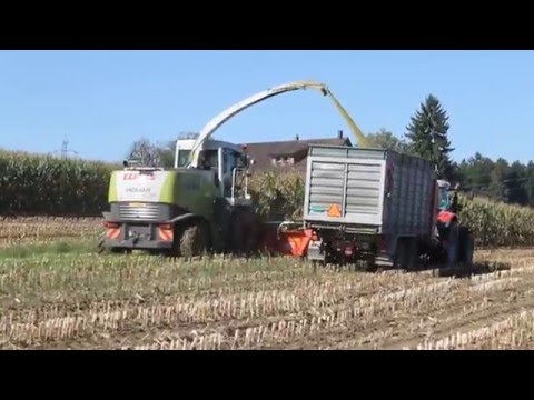 Maisernte Keller Agro Ettenhausen