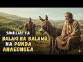 SIMULIZI YA BALAKI NA BALAMU NA PUNDA ANAEONGEA