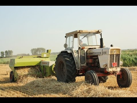 Landb. Van Belleghem – Zuienkerke - David Brown 1210 - Claas Markant 55