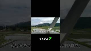 衝撃の発見!ベトナム生活後に見た日本の「本当の姿」