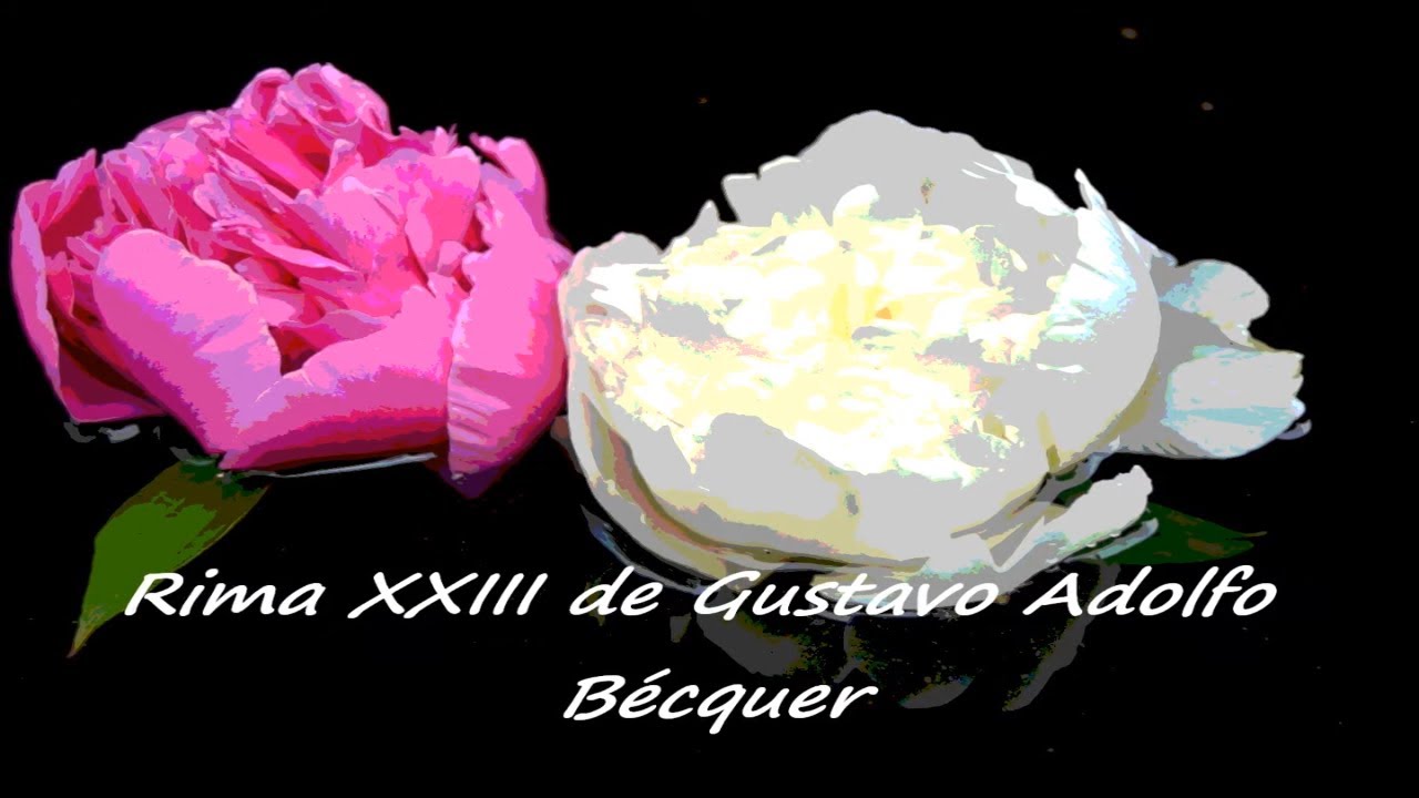 Por una mirada un mundo La Rima XXIII de Gustavo Adolfo Bécquer