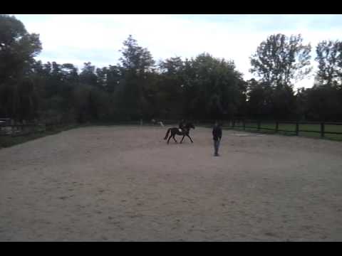 Tomik a Zarga 20131001