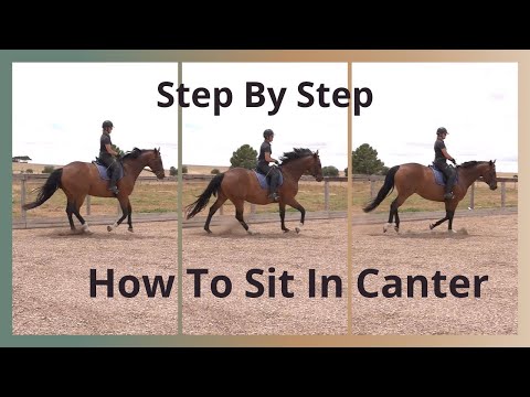 如何用「坐姿」駕馭加強跑！ (How To Sit The Canter Using Your Seat)