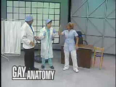 TV iLegal 2/4/09 - Gay's Anatomy