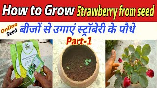 How to Grow Strawberry plants from seed