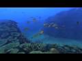 Aquanaut 39 s Holiday: Hidden Memories ps3 Trailer 8 29