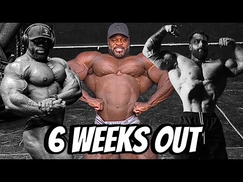 CHRIS BUMSTEAD SIN LESIÓN | SAMSON DAUDA ENORME!! | BRANDON CURRY ESTA LISTO
