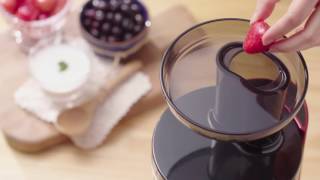 Yaourt glacé aux fruits : 100% naturels