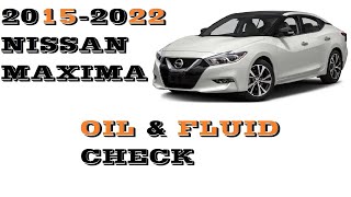 How to check Oil and fluids Nissan Maxima 2015-2022