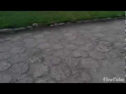 Tak się kończy niszczenie telefonów