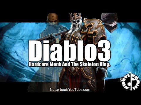 Diablo 3 Hardcore Monk And The Skelington king.