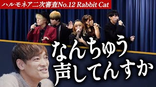 Download lagu 【Rabbit Cat】チャンネル登録者数27万人を誇るアカペラグループ。審査員が真の実力を見抜く。【第1回ハルモネア二次審査 Group No.12】 mp3