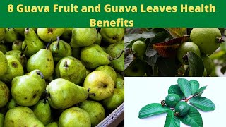 8 Guava Fruit and Guava Leaves Health Benefits