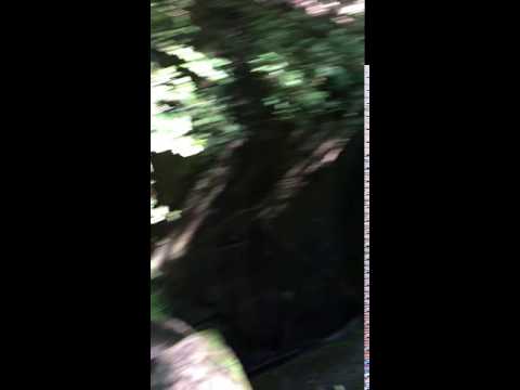 Careful of the cliff/falls. Brand new bridge over the area