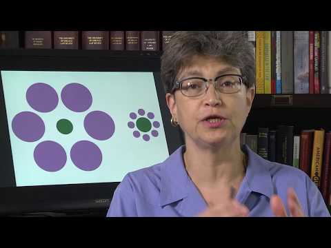 9.1 Introduction to Perception