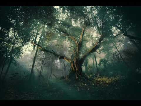 Tomek "Kowal" Kowalski&FBB-Sen(live)