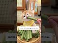The 1 Green Your Cat Needs