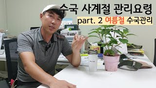 수국 계절별 관리 핵심포인트