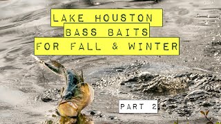 Lake Houston Bass Baits for fall and winter