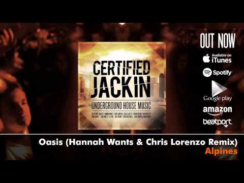 Certified Jackin: Underground House Music (Album Megamix)