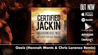 Certified Jackin: Underground House Music (Album Megamix)