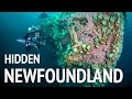 The Hidden Underwater Geography of Newfoundland Canada
