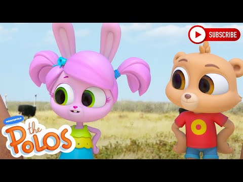 Discovering new birds | The Polos | Adventure Learning | Learn At Home - Kingdom Kids Zone, Little Learners - The Polos and MarcoPolo Learning