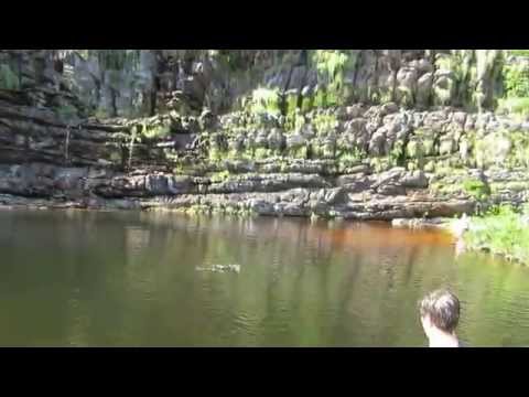 Caminhada com nossos Labradores