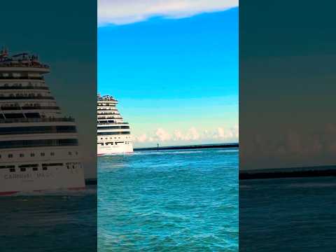 Thumbnail for Carnival Magic 🛳️ #like #share #comment #subscribe #shorts #youtubeshorts #shortvideo #short #viral