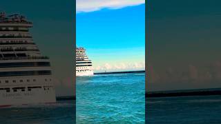 Carnival Magic 🛳️ #like #share #comment #subscribe #shorts #youtubeshorts #shortvideo #short #viral