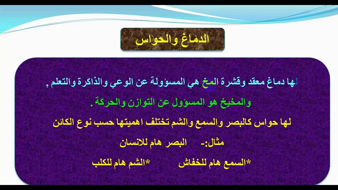 الثدييات وتنوعها