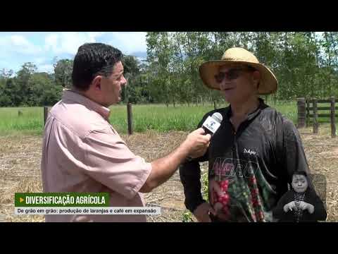Emendas de Laerte Gomes levam tecnologia e mudas a produtores de Costa Marques | ALERO no Agro