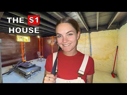 My Basement Looks Brand New