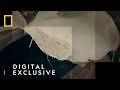 Inside An Illegal Meth Super Lab Trafficked National Geographic UK