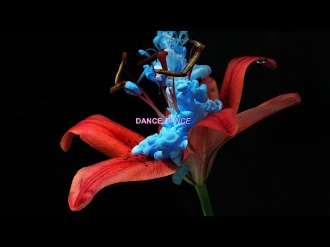 ריקוד 4 העונות: סרטון מרהיב שמציג את יופיים של הפרחים כפי שמעולם לא ראיתם