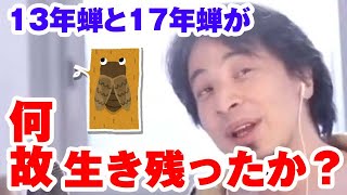 13年蝉と17年蝉が生き残ったアレな理由