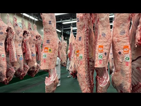 牛の品種 - 特徴と例と珍しさ -