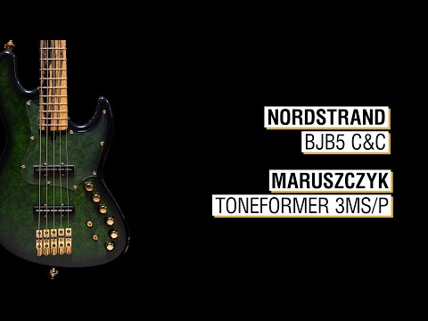 Nordstrand BJB5 c&c + Maruszczyk Custom Toneformer 3MS/P - Elwood L5a Green 32" medium