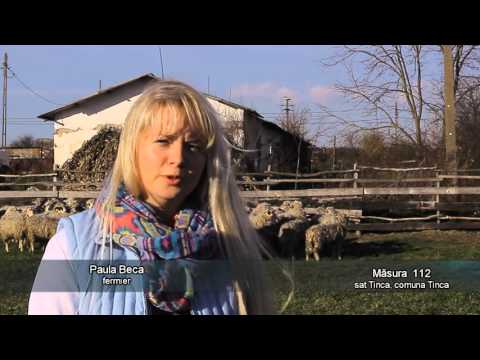 Tinca: Comuna în care fondurile europene au convins tinerii să rămână acasă