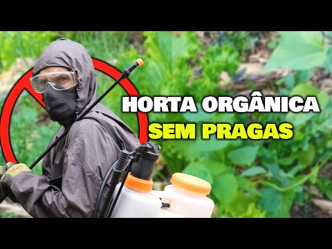 Como acabar com as Pragas na Horta Orgânica sem usar veneno.