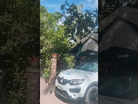 camping Maragogi ( Praia Pontal de mangue) Alagoas