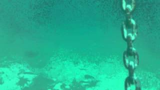 preview picture of video 'coming up the anchor NINE DIVES viz indicator Picton.AVI'