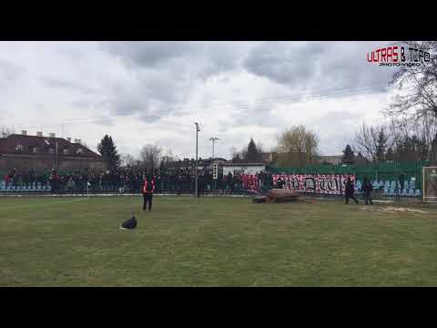 4L: Okocimski Brzesko - Tarnovia Tarnów [Fans]. 2019-03-16
