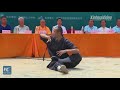 Shaolin Kung Fu show wows audience